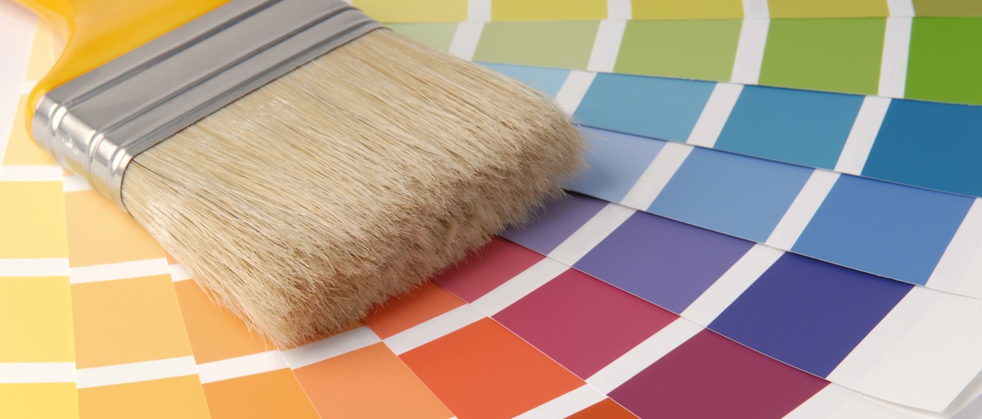 Painter SE6